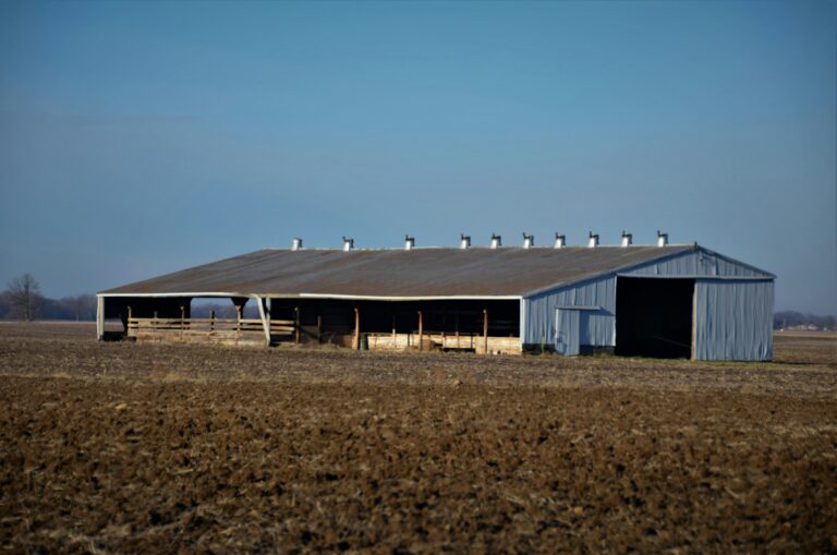 agricultural steel shed
